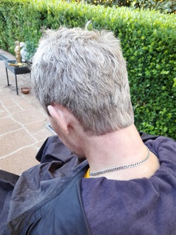 Mobile Haircut Port Stephens